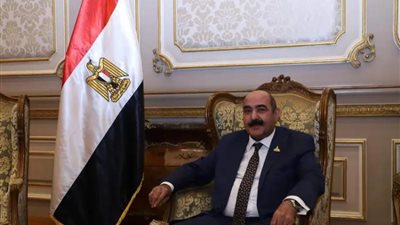 عضو بالشيوخ: إسرائيل دأبت على ترويج الأكاذيب.. والأمن القومي المصري خط أحمر