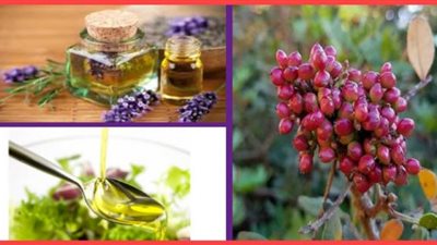 يحمي من السعال ومفيد للمعدة.. فوائد سحرية عن «زيت الضرو»