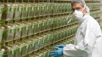 بلجيكا توفر لقاح كوونا لـ70% من سكانها مجانًا