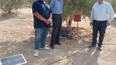 جامعة الملك سلمان تجرى بحوثًا للتقنيات الرقمية لحساب الاستهلاك المائي لأشجار الزيتون