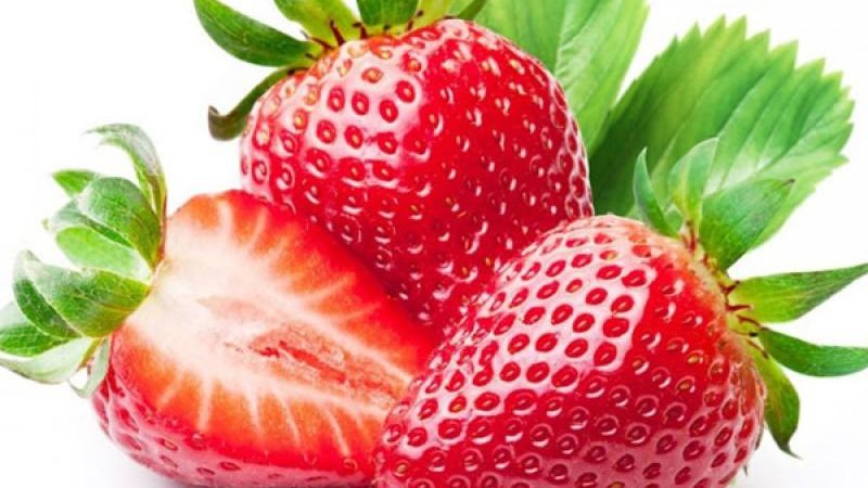 حظر استيراد الفراولة