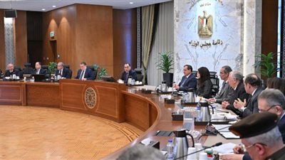 عاجل| قرار هام بخصوص قانون سيارات المصريين بالخارج