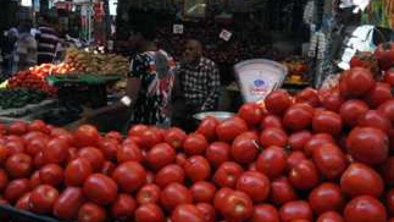 اسعار الخضروات
