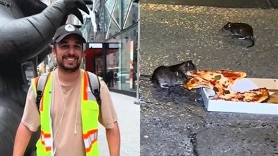 بـ50 دولارًا.. تيك توكر يقدّم لمتابعيه جولات للبحث عن الفئران في نيويورك