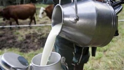 35%.. سر ارتفاع أسعار «اللبن» في الأسواق