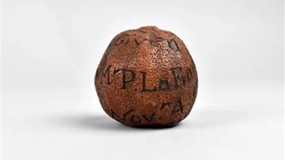 كنز رومانسي.. بيع ليمونة عمرها 285 عامًا بمبلغ يفوق التخيلات