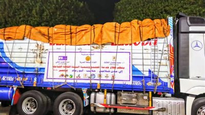 انطلاق قافلة جامعة القاهرة إلى حلايب وشلاتين وأبو رماد اليوم.. وتستمر 5 أيام