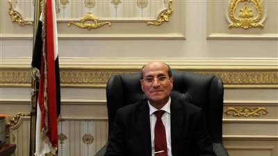 المستشار وفاء حرز مساعدًا لوزير العدل لشئون التفتيش القضائي