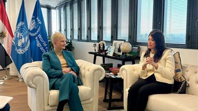 «المشاط» تبحث دعم  برنامج الأغذية العالمي للمشروعات الحكومية الخضراء