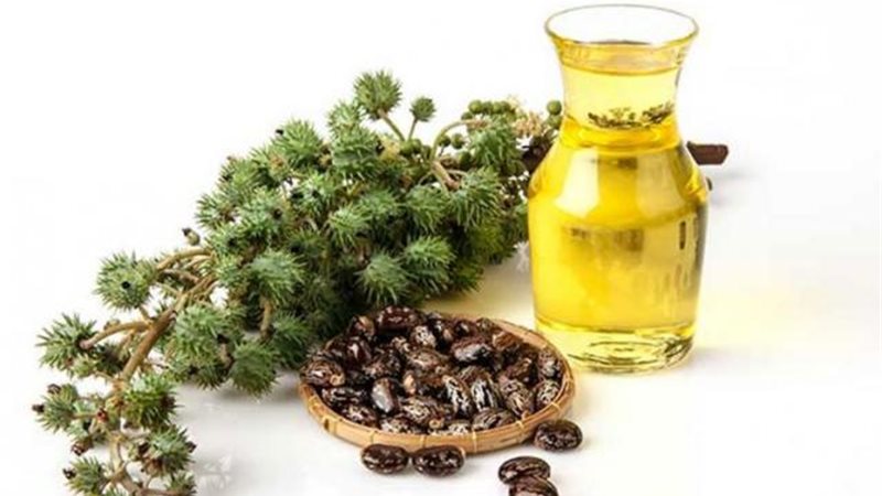 زيت الخروع