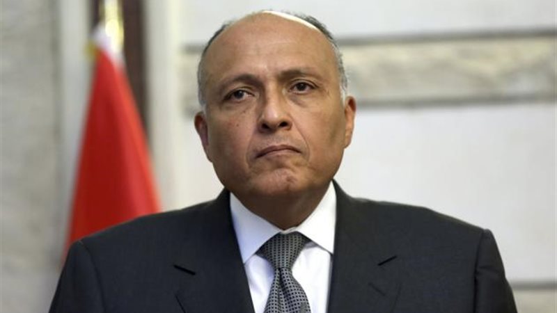 سامح شكري وزير الخارجية