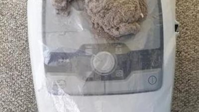 أسباب هامة تجعلك تنظفين بيتك بالمكنسة الكهربائية كل يوم