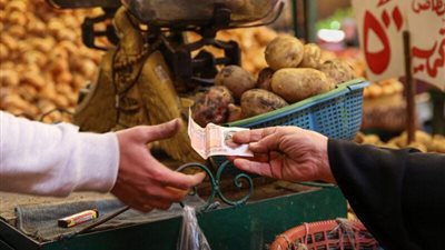الحكومة تعلن موعد تطبيق منظومة مراقبة أسعار السلع