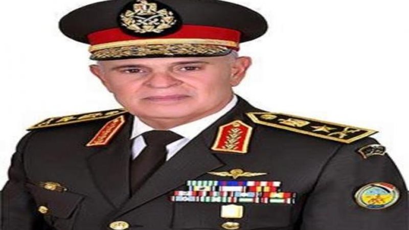 الفريق محمد فريد