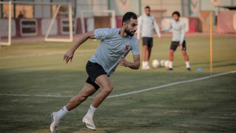 عمرو السولية