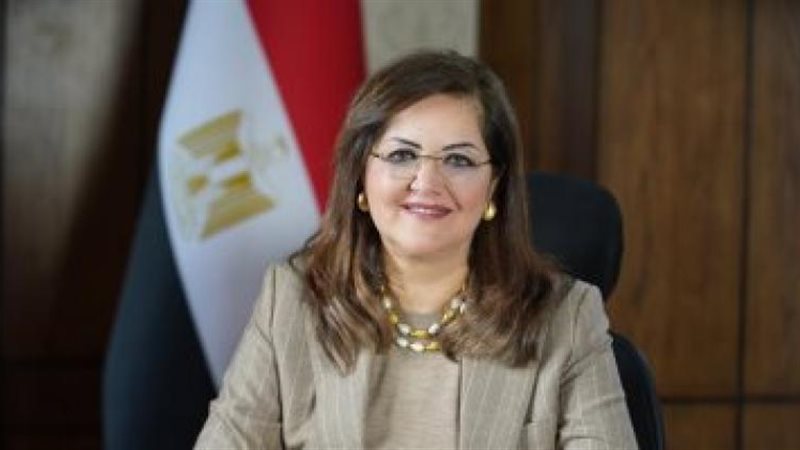 وزيرة التخطيط