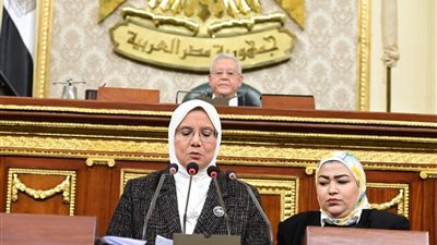 وفاة النائبة أمنية رجب في حادث سيارة بالطريق الصحراوي