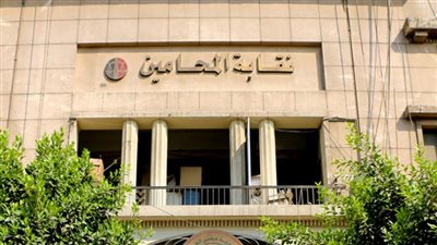 عاجل| دعوى قضائية تطالب باستبعاد نبيه الوحش من انتخابات «المحامين»