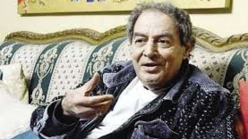مجدي نجيب