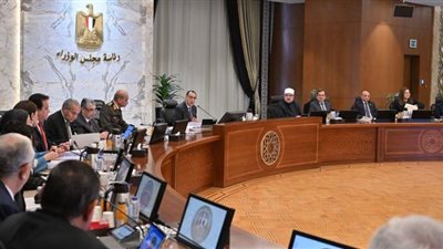 الحكومة تستعين بلجنة قانونية وفنية ومكتب محاماة عالمي لدراسة عروض الاستثمار