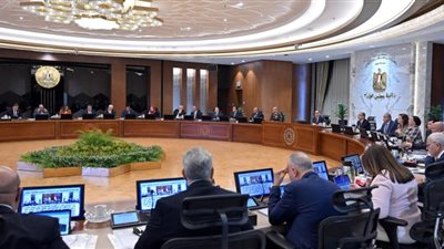 مجلس الوزراء يوافق على تخصيص قطع أراض للمنفعة العامة (تفاصيل)