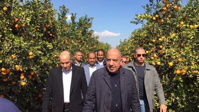 بالصور.. وزير قطاع الأعمال يزف أنباء سارة بشأن مشروعات الأمن الغذائي بالصالحية الجديدة