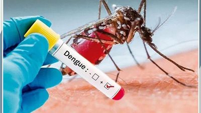 رئيس الرابطة الطبية الأوروبية يحذر: ارتفاع حالات مرض حمى الضنك عالميًا