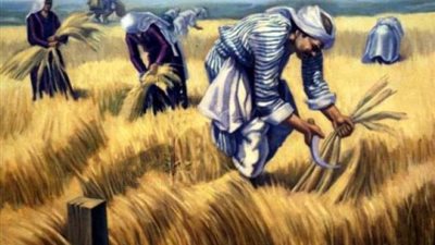 القصة الحقيقية لأغنية ”عواد باع أرضه”.. لم يبيعها ودفع حياته ثمنا لها