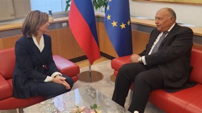 أبرزها دعم فلسطين وتعزيز التعاون.. تفاصيل مباحثات وزير الخارجية مع نظيرته السلوڤينية