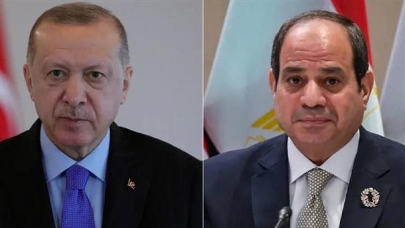 الرئيس السيسي و أردوغان