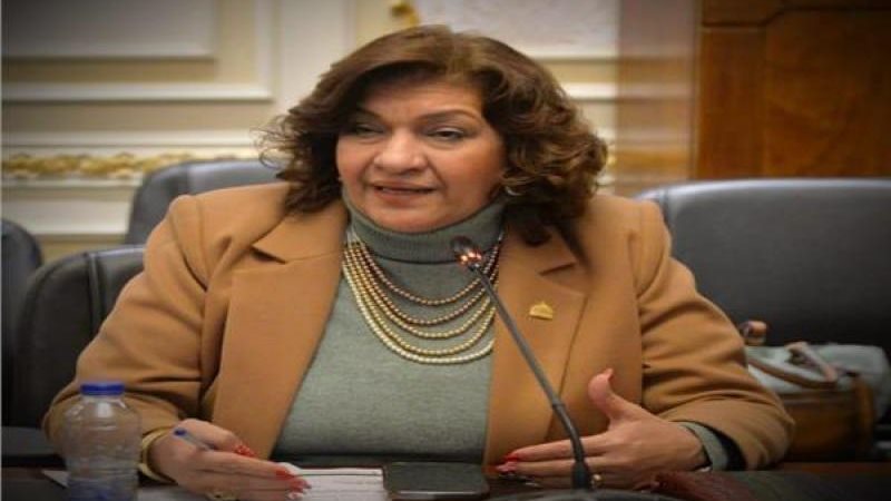 النائبة إيفلين متى