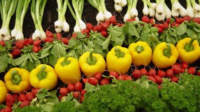 الطماطم بـ12 جنيه والبطاطس بـ 15 .. أسعار الخضار والفاكهة اليوم الأربعاء 14-2-2024