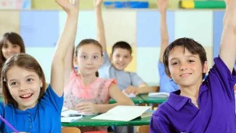 وظائف المدارس الدولية