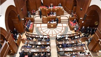 عاجل.. 12 ألف جنيه تعيد أمجاد القطن المصري طويل التيلة