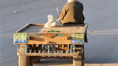 «الكارو» وراء مصرع شاب وإصابة عجوز في قنا