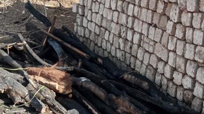 السيطرة على حريق هائل بحظائر مواشي في الغربية