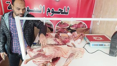 بالصور.. الجيزة تضبط 3.5 طن لحوم ودواجن فاسدة بأكتوبر