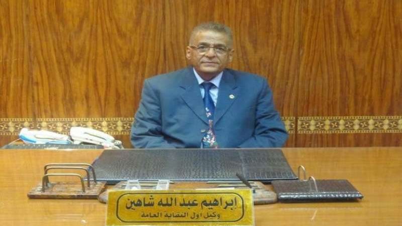 إبراهيم شاهين