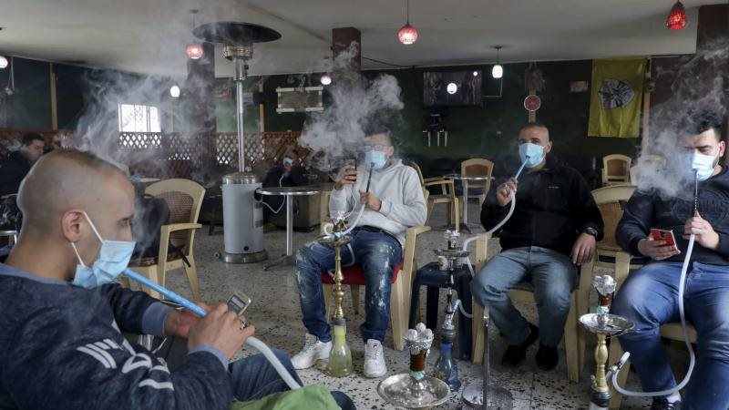 أسعار «المعسل» في