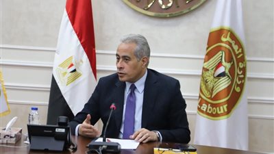 عقود عمل رسمية.. « شحاتة » يكشف تفاصيل إعداد مشروع قانون العمالة المنزلية