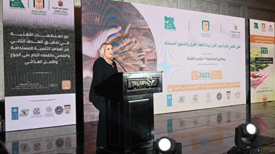 وزيرةالتضامن: القيادة السياسية تؤمن بدور المجتمع المدني فى مجالات الحماية الاجتماعية