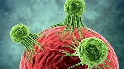 علماء إسرائيليون يبتكرون تقنية لتدمير الخلايا السرطانية في الفئران