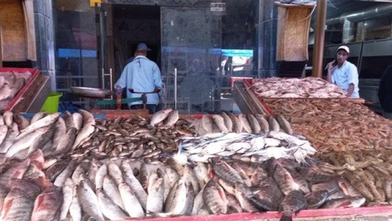 سعر السمك