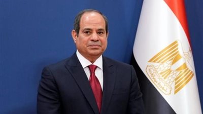 السيسي يبحث مع رئيس شركة بريتش بيتروليوم التعاون في إنتاج الهيدروجين الأخضر