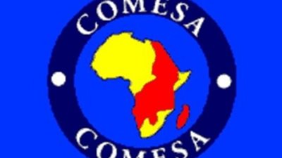 استحواذ  مصر على النصيب الأكبر من المشروعات الاستثمارية المنفذة داخل دول الكوميسا