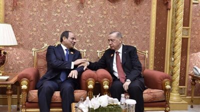 الصقور تغرد.. مصر تطلب وتركيا تستجيب و الإخوان تدفع المشاريب