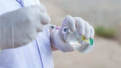 حقيقة وجود عجز في الأمصال واللقاحات البيطرية على مستوى الجمهورية