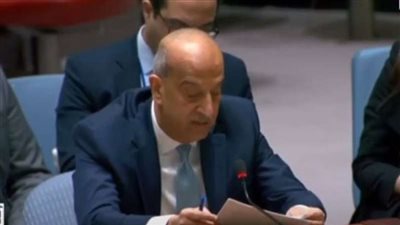 عاجل .. مندوب مصر بمجلس الأمن يحذر إسرائيل من خططها في رفح الفلسطينية