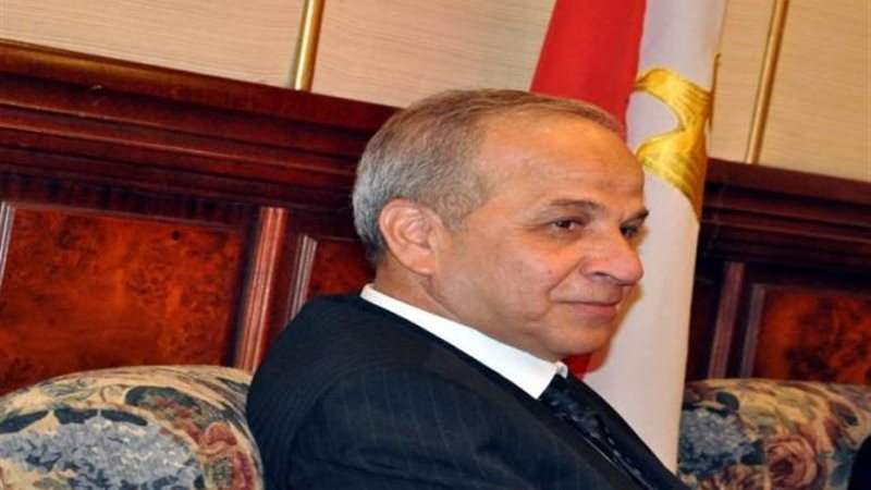 محافظ القليوبية
