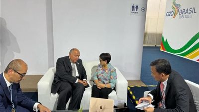 وزير الخارجية: اجتياح إسرائيل لرفح ينذر بعواقب وخيمة على المنطقة